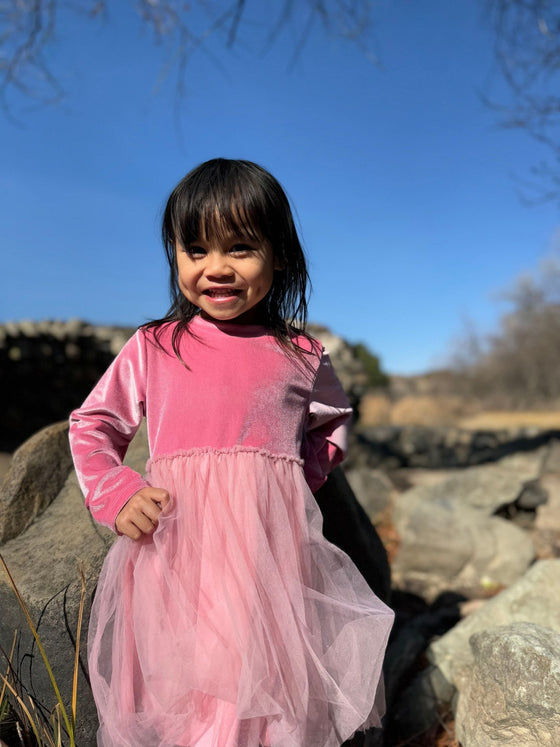 Eva Dress in Pink Velvet