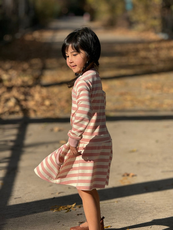 Lara Dress in Pink Stripe
