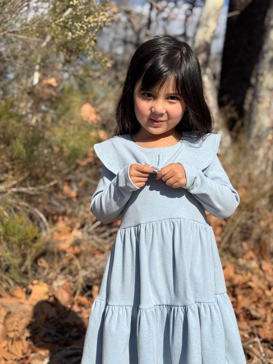 Jenny Dress in Blue