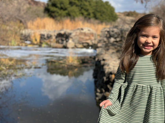 Madigan Dress in Green Stripe