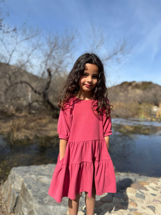Alice Dress in Berry