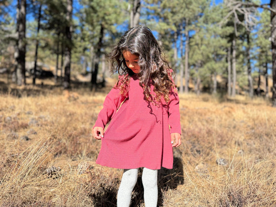 Mia Dress in Berry Knit