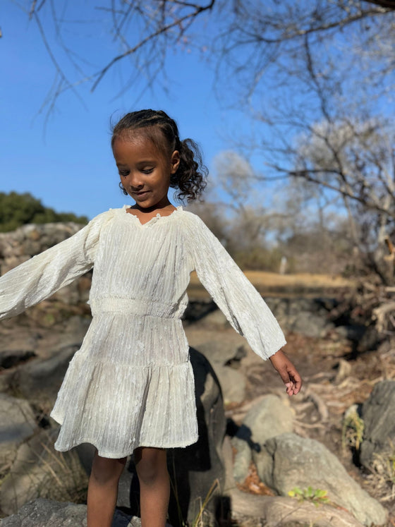Willow Dress in Ivory Sequin Velvet