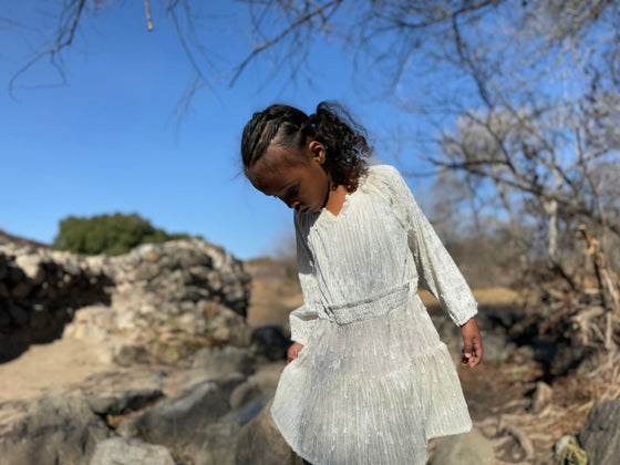 Willow Dress in Ivory Sequin Velvet