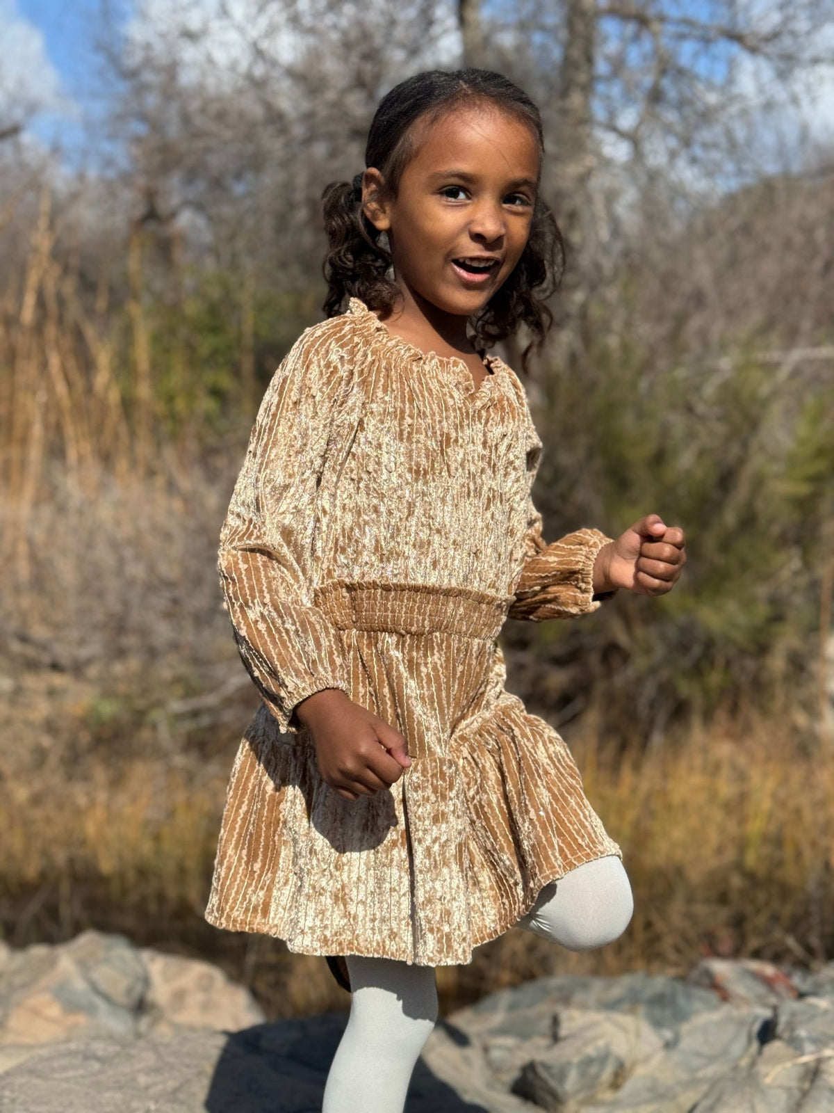 Willow Dress in Fawn Sequin Velvet