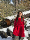 Eliana Dress in Red Velvet