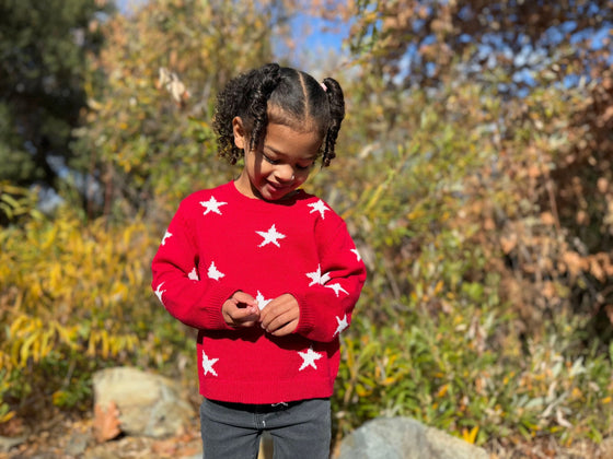Robyn Sweater in Red Star