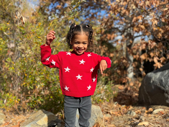 Robyn Sweater in Red Star