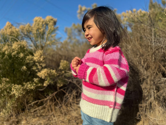 Donna Sweater in Berry Stripe