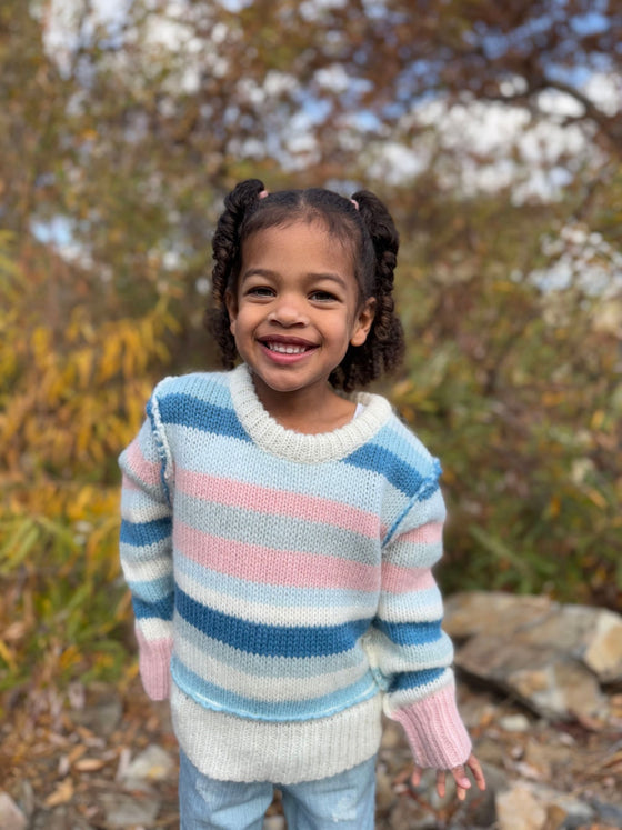 Donna Sweater in Blue/Pink Stripe