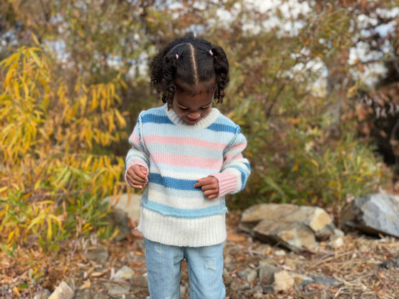 Donna Sweater in Blue/Pink Stripe