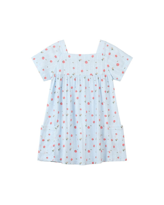 rylie dress in blue strawberry