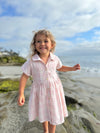 heather dress in pink plaid seersucker