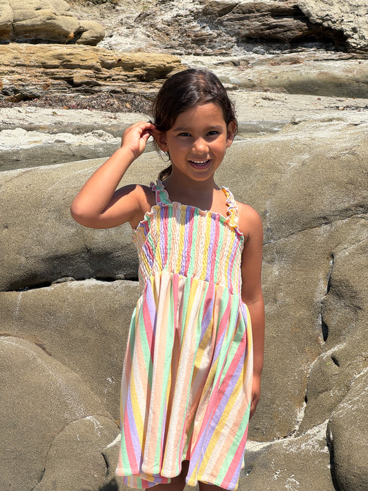 savannah dress in pink yellow multi-stripe