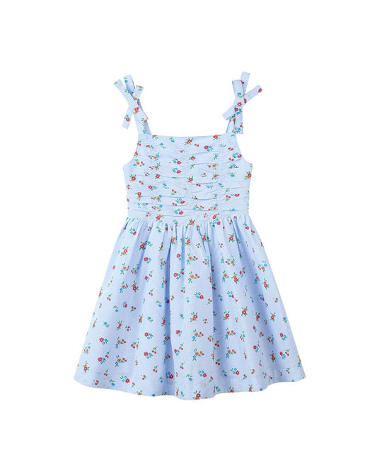 wynonna dress in blue gingham floral