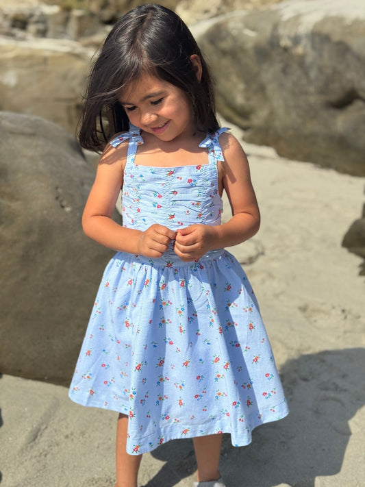 wynonna dress in blue gingham floral