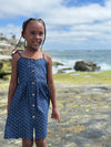 brooklyn dress in navy anchor