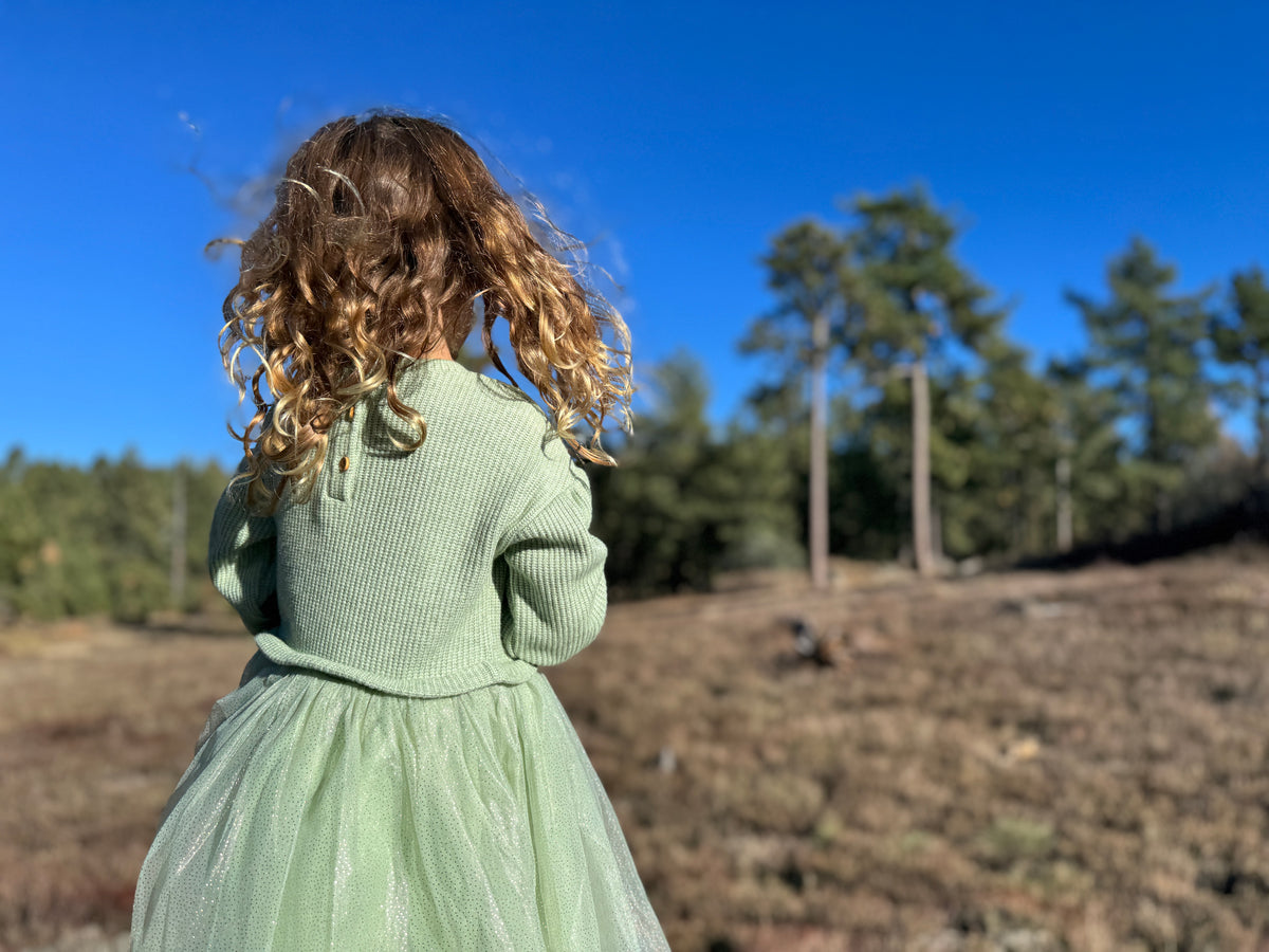 Birdie Dress
