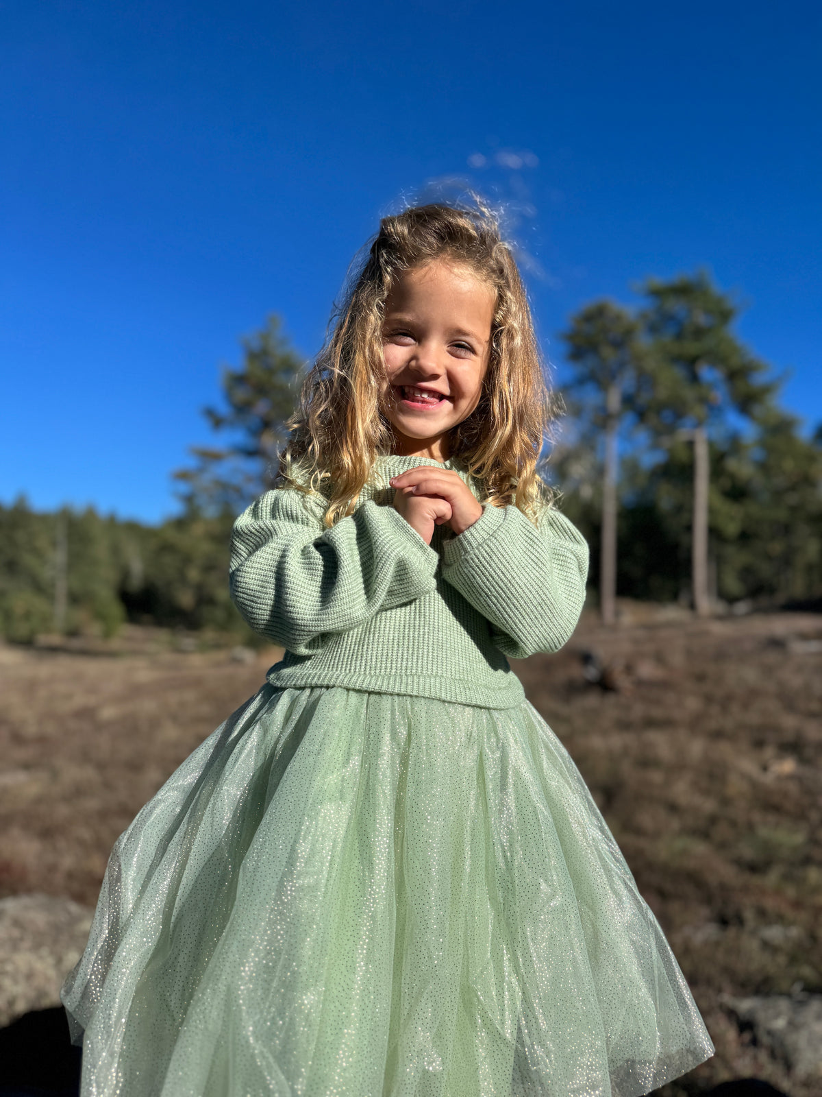 Birdie Dress