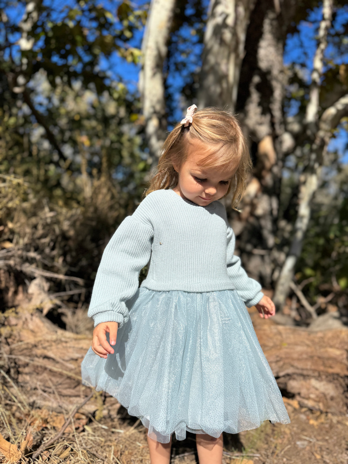 Birdie Dress