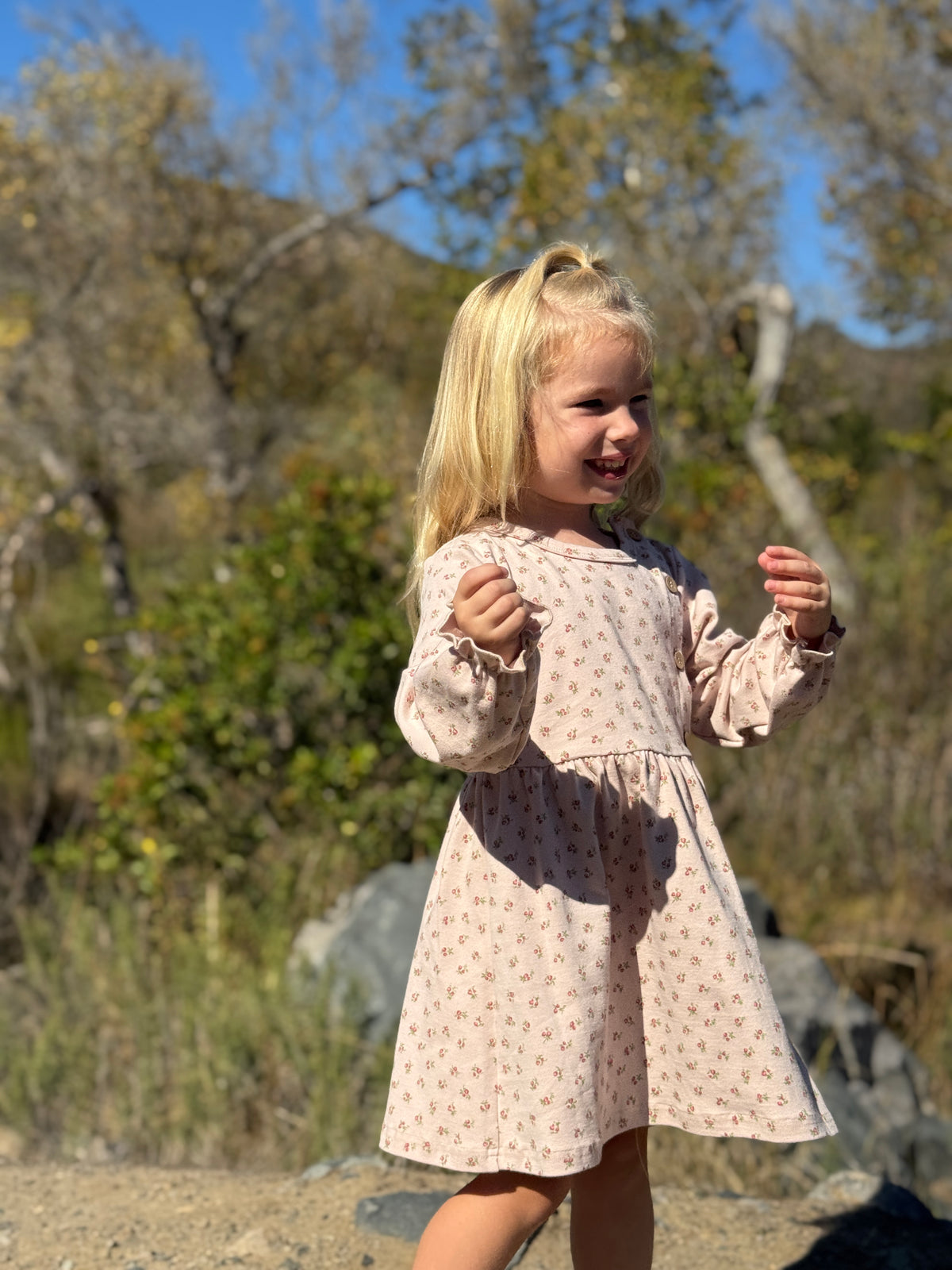 Charlotte Dress