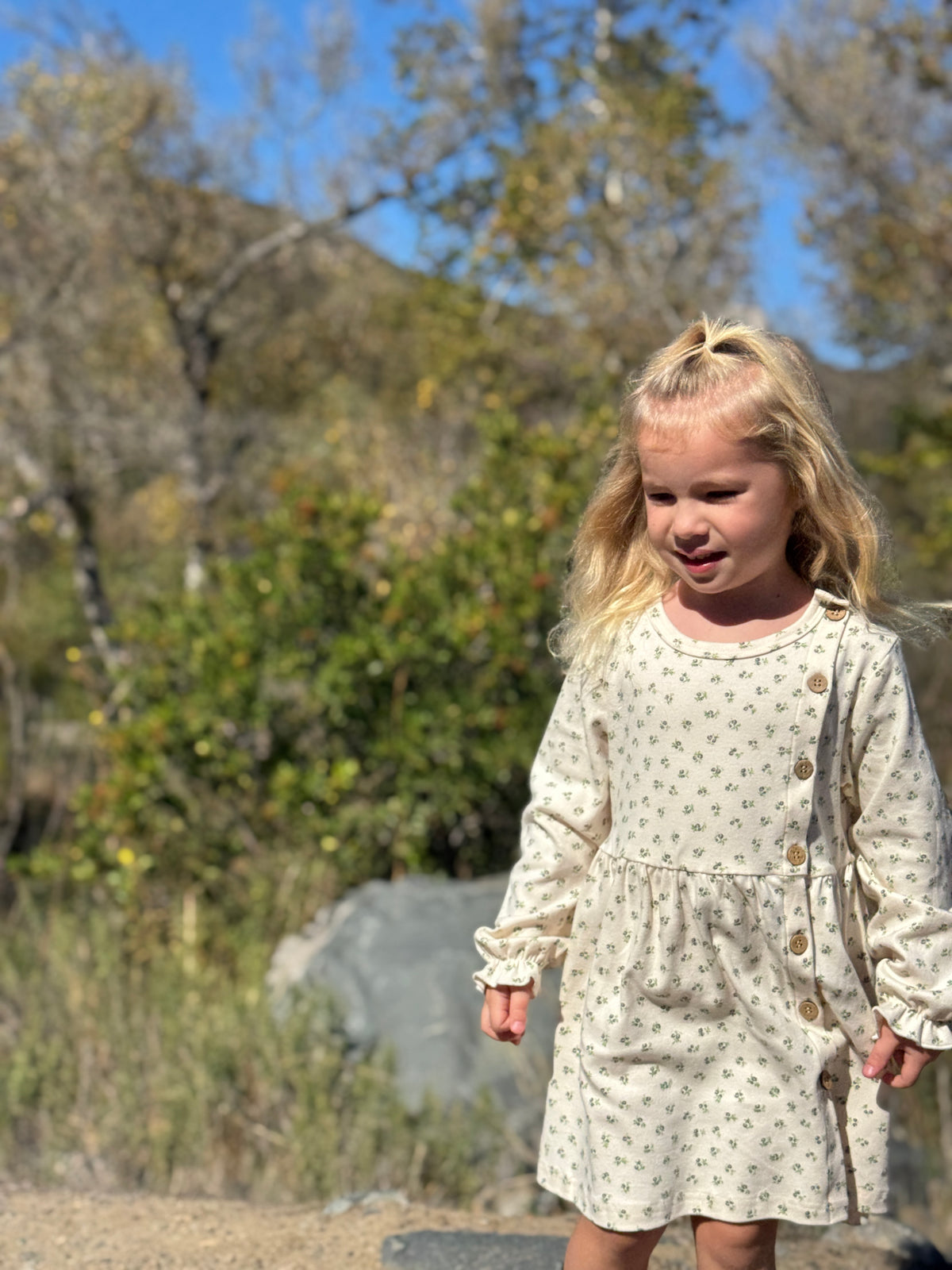 Charlotte Dress