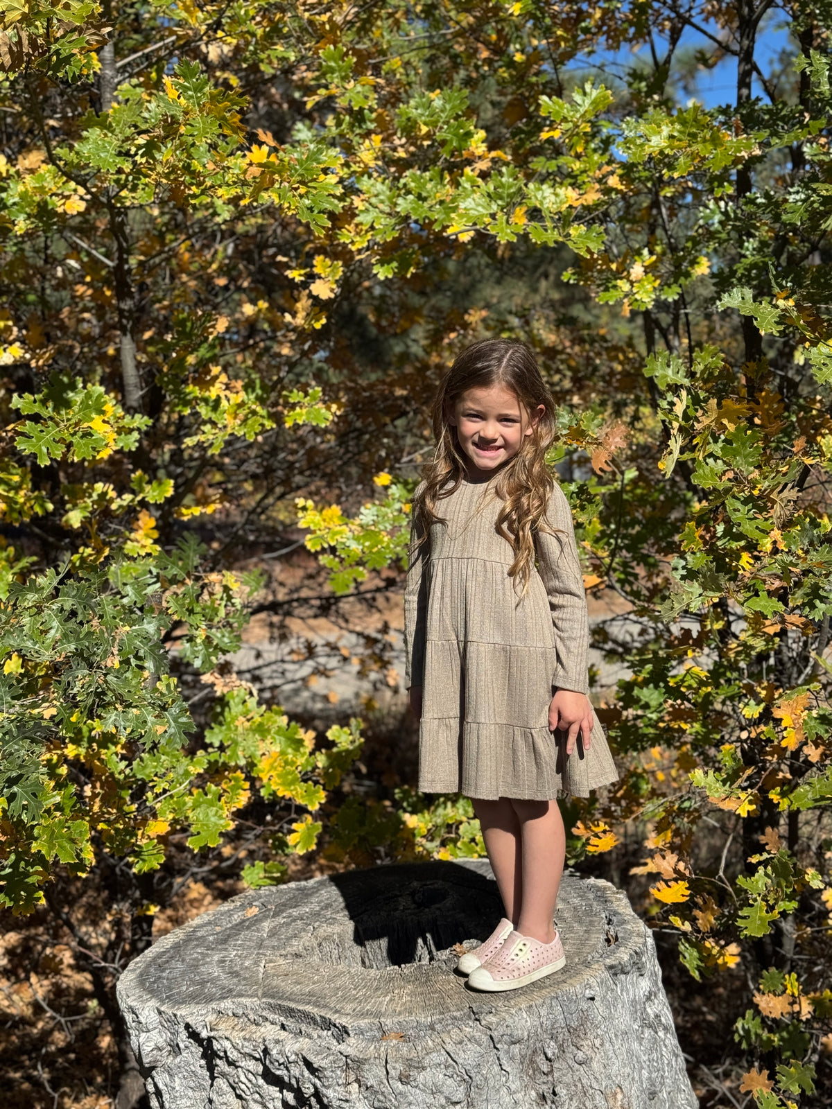 Iona Dress Long Sleeve