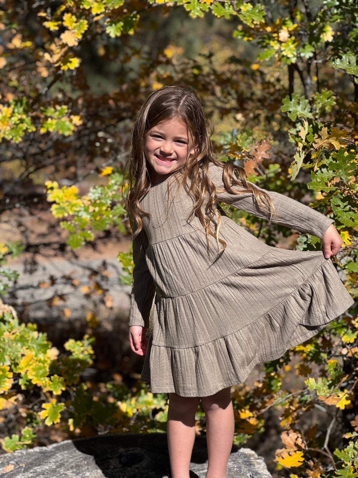 Iona Dress Long Sleeve