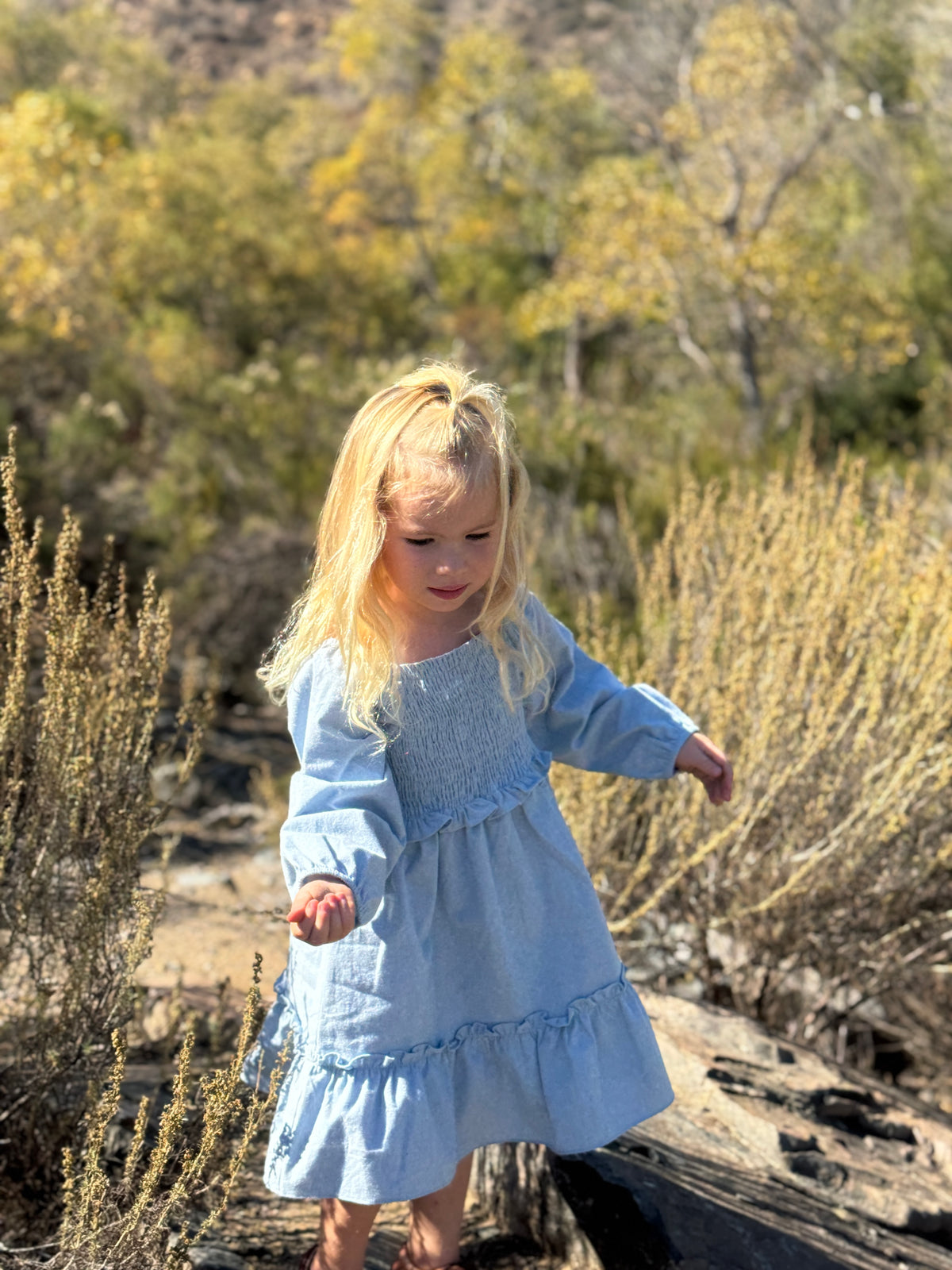 Lyra Dress