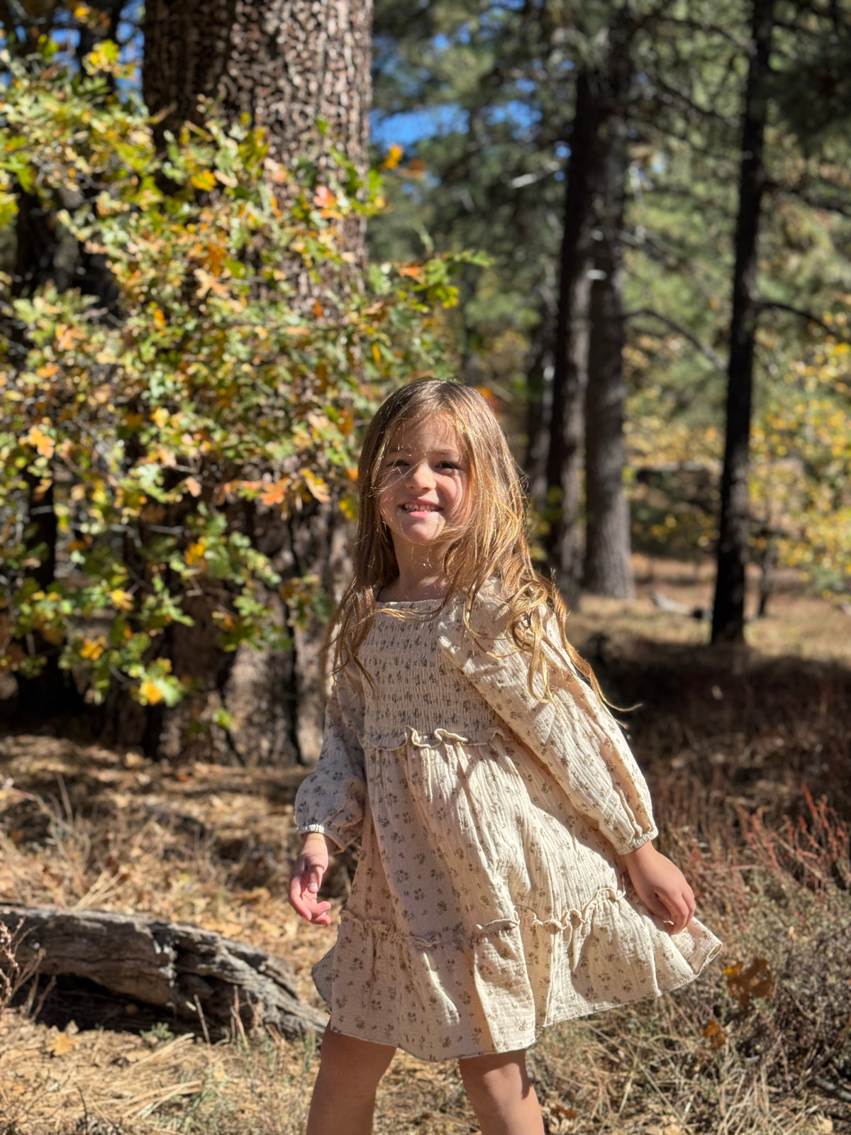 Lyra Dress