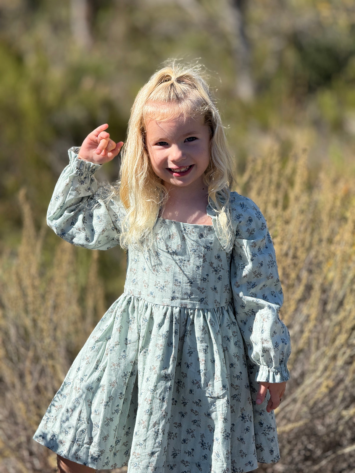 Ciera Dress