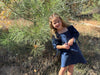 Olivia Dress