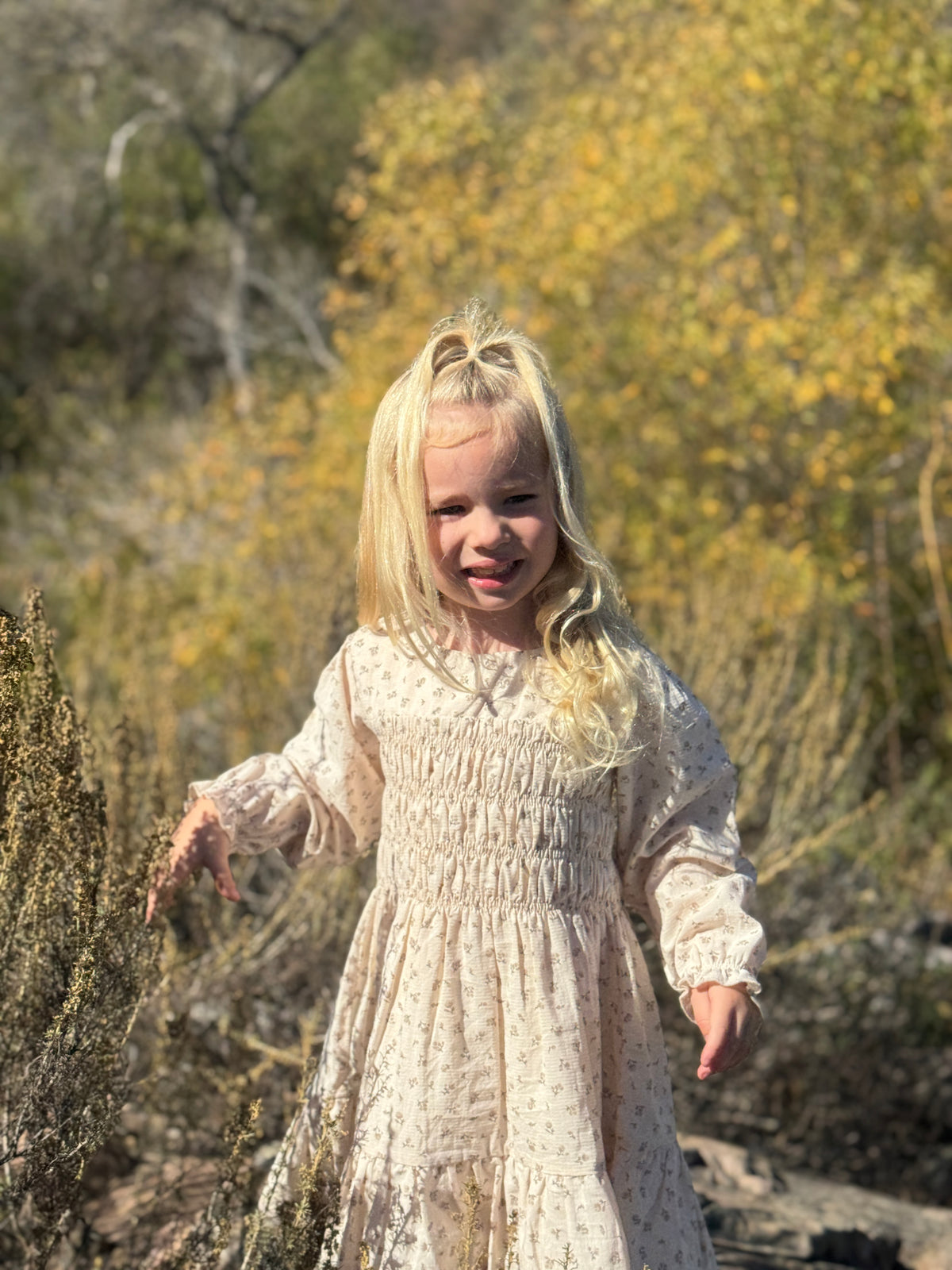 Adelyn Dress