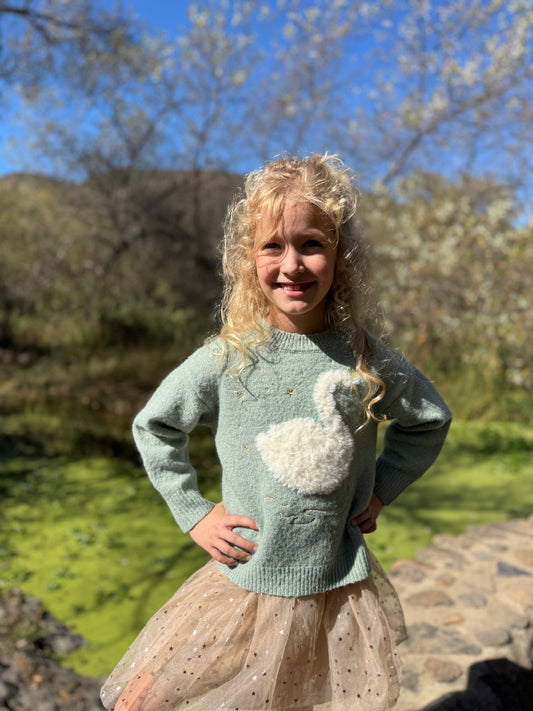 Nova Graphic Sweater