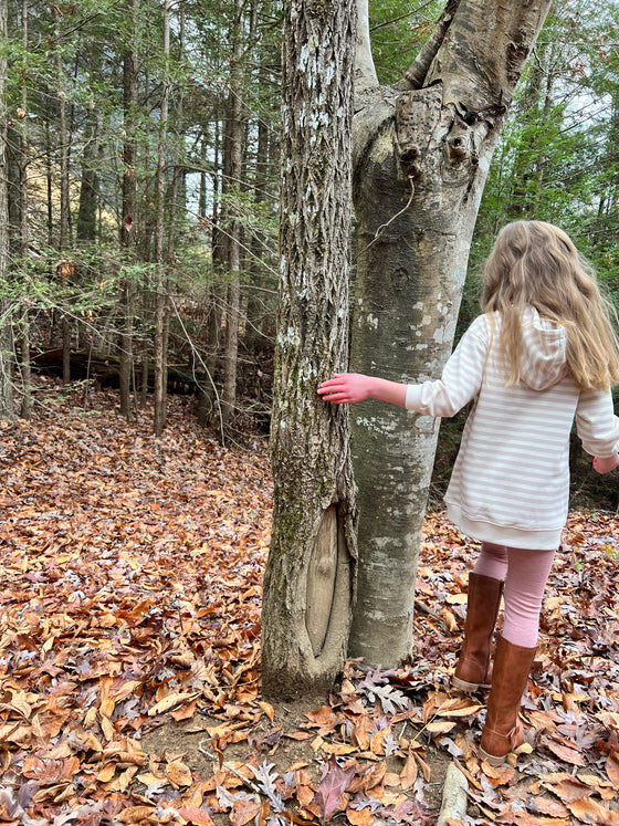 fawn legging in rose