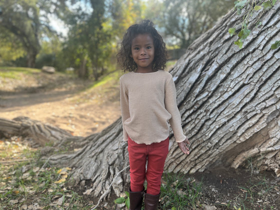 Kennedy mock neck turtle neck in rose