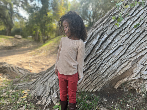 Kennedy mock neck turtle neck in rose