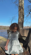 Alice Dress in Silver
