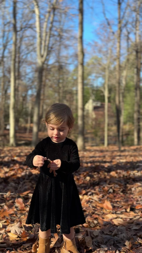 Merilee Dress in Black Velvet