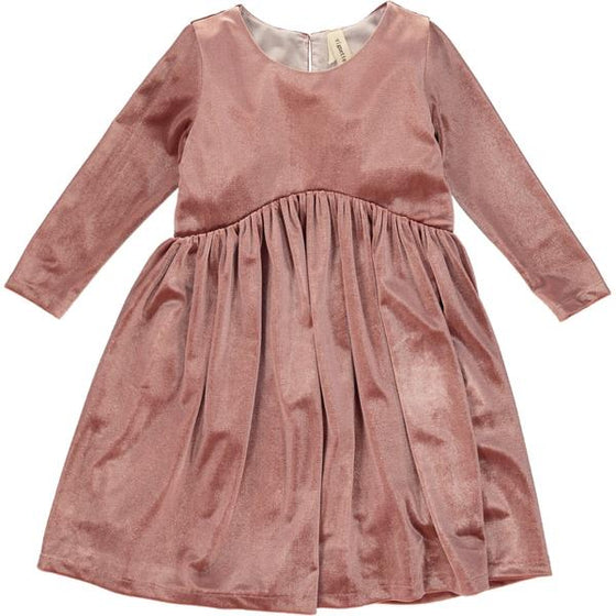 charlotte dress in rose