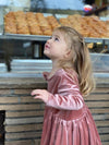 charlotte dress in rose