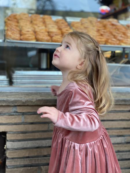charlotte dress in rose