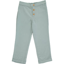  andi twill trouser in sky